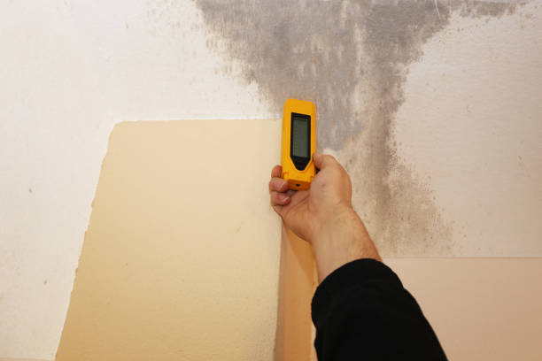 Mitchell, IN Mold Removal Company