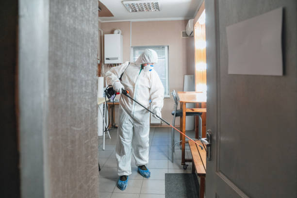 Best Asbestos and Lead Testing During Mold Inspection  in Mitchell, IN