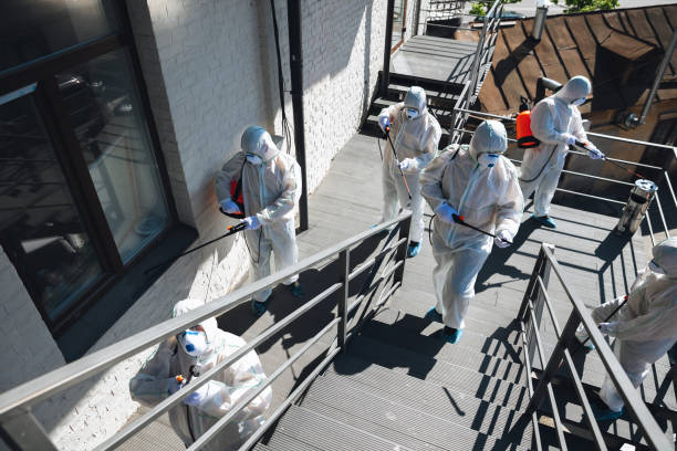 Best Emergency Mold Remediation  in Mitchell, IN