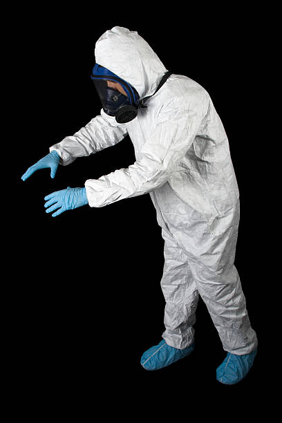 Best Basement Mold Removal  in Mitchell, IN