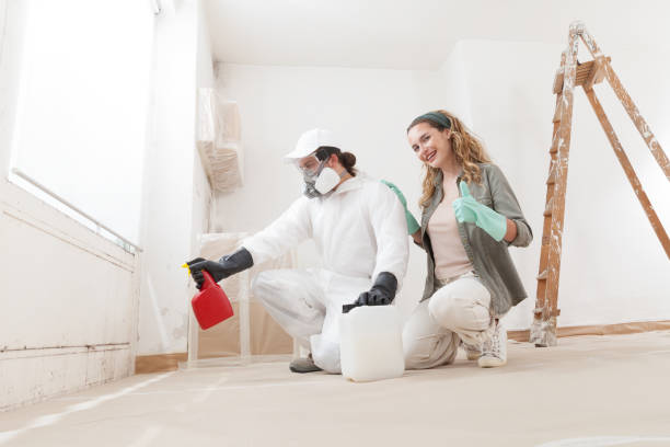 Best Mold Remediation for Vacation Homes  in Mitchell, IN