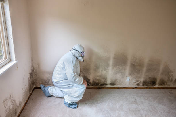Best Comprehensive Air Testing for Mold Contaminants  in Mitchell, IN